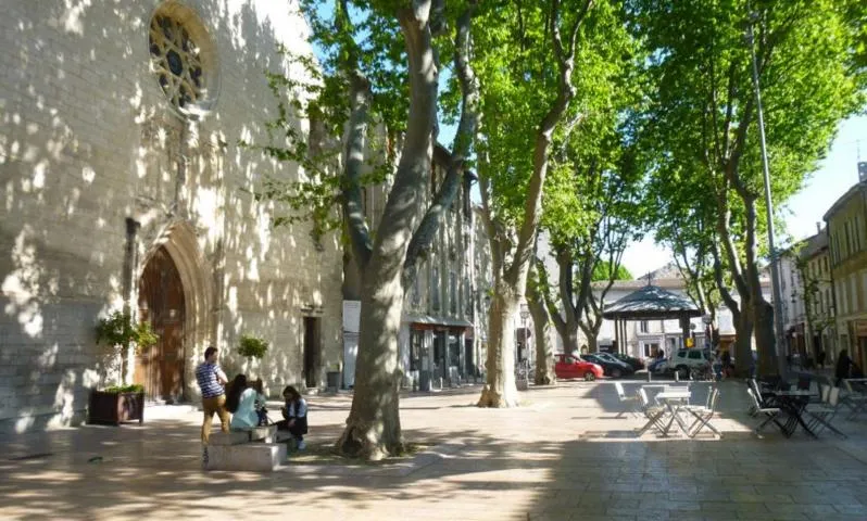 Image qui illustre: Place des Carmes