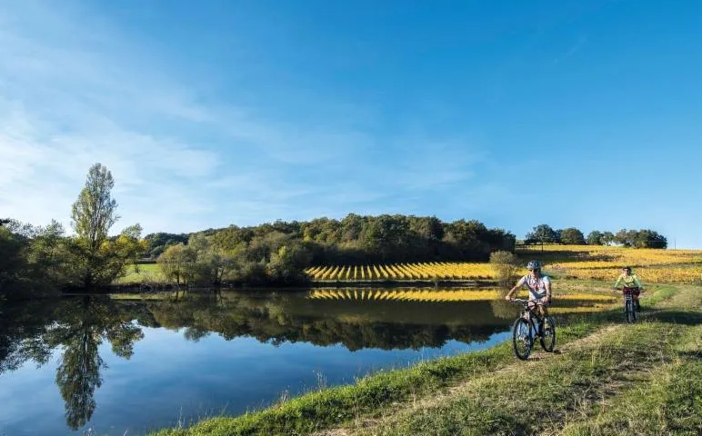 Image qui illustre: Cadillon : Entre Crêtes Et Vignoble En Vtt