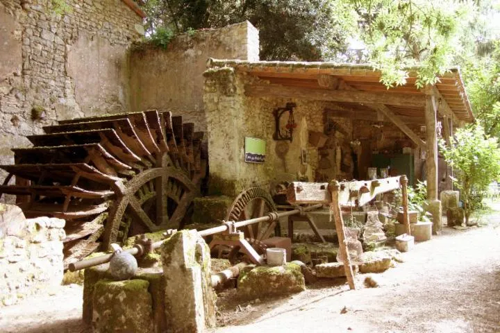Image qui illustre: Moulin de Chollay