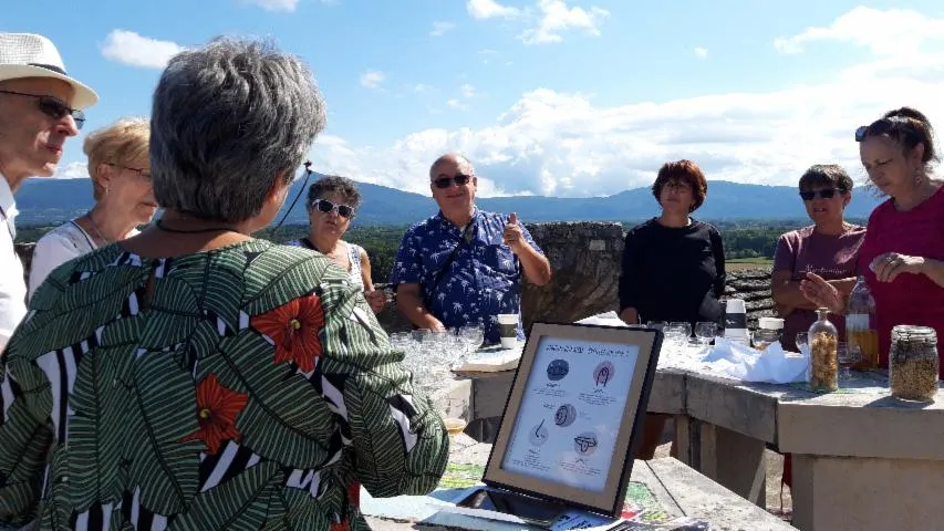 Image qui illustre: Visite guidée de la cité des peintres de Morestel