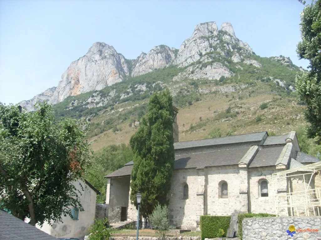 Image qui illustre: Les rochers de la Mirouge sur le Quié de Sinsat à Ornolac-Ussat-les-Bains - 0