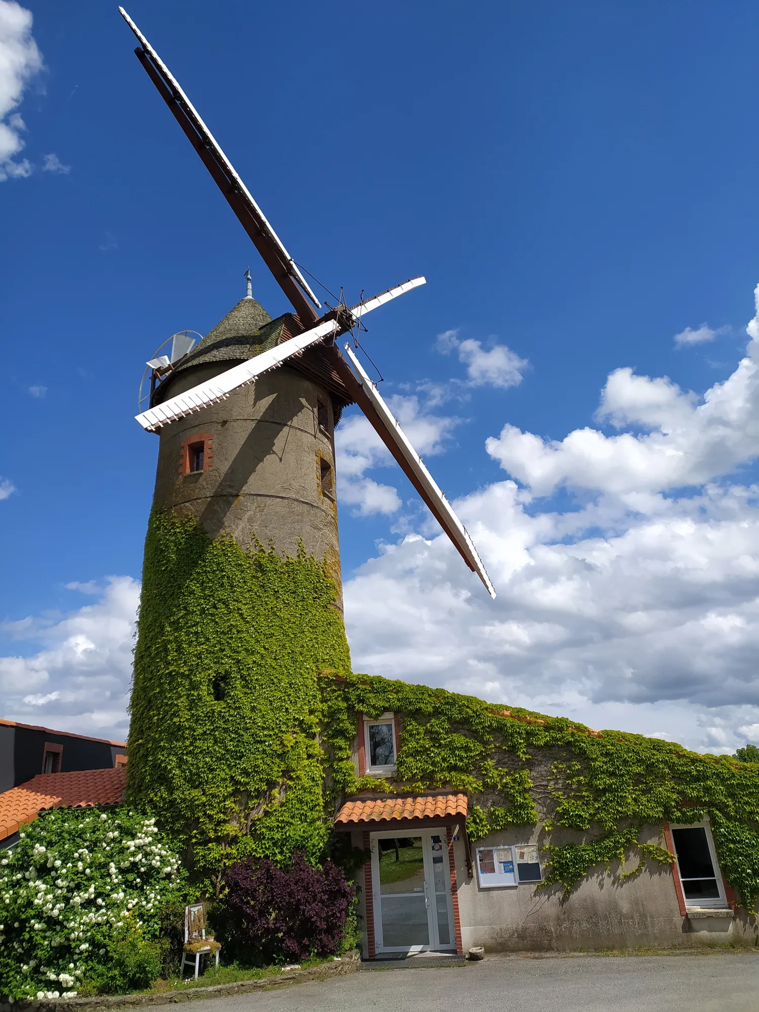 Image qui illustre: Visite guidée du Moulin de l'Epinay à Mauges-sur-Loire - 0