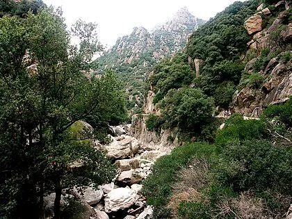 Image qui illustre: Gorges d'Héric