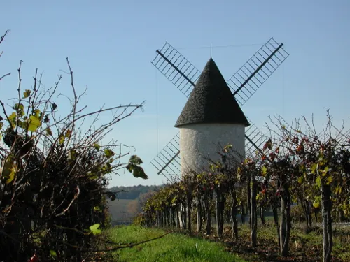 Image qui illustre: Le Moulin De Marquet, Dans Les Vignes De Villeneuve-de-duras à Villeneuve-de-Duras - 1