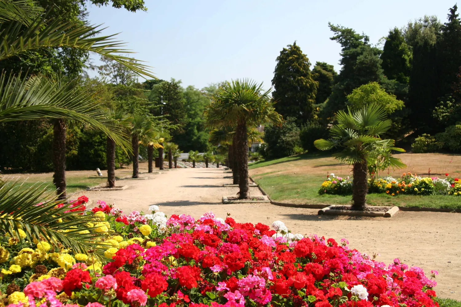 Image qui illustre: Parc Du Pointeau à Saint-Brevin-les-Pins - 0