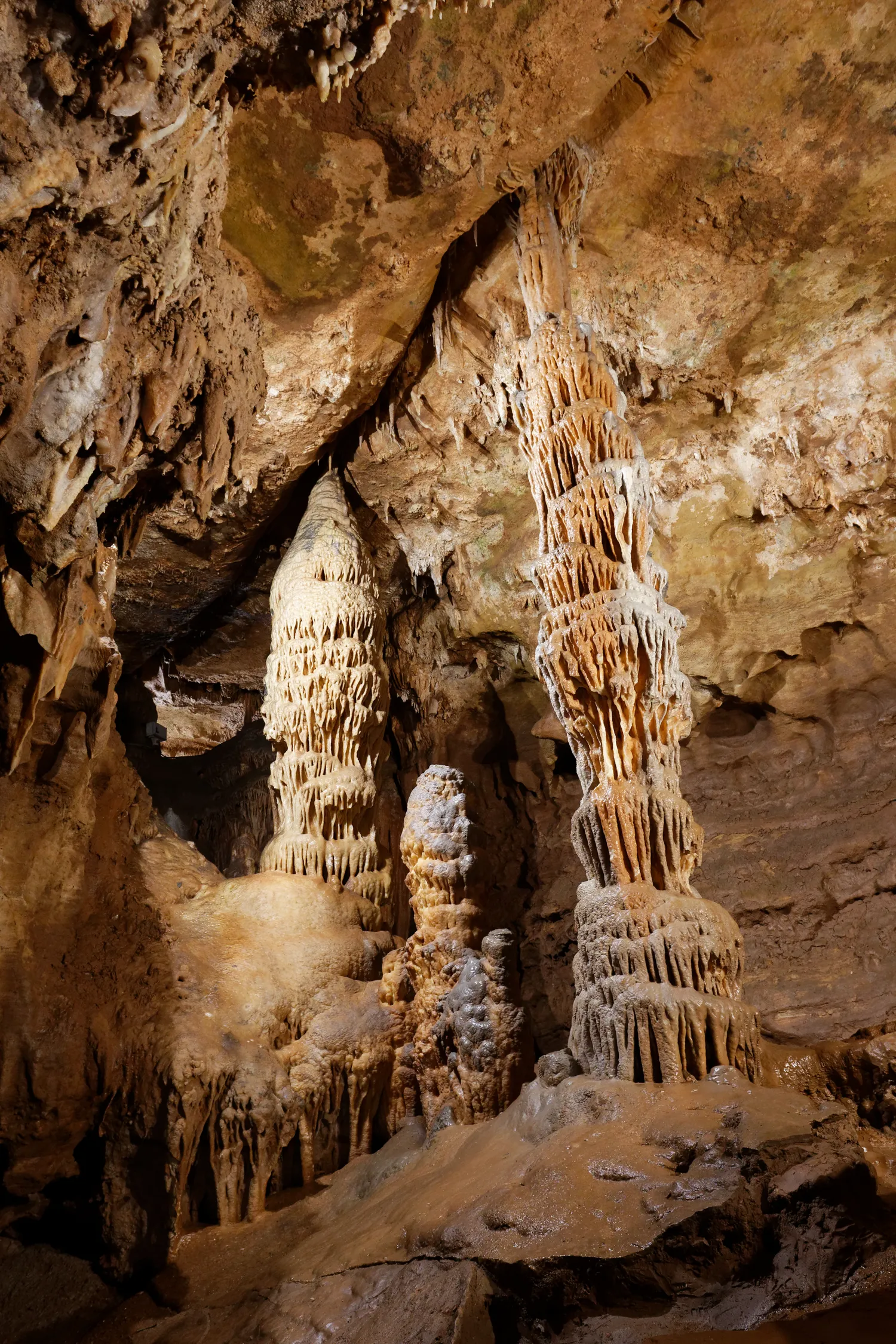Image qui illustre: Grottes De Presque à Saint-Médard-de-Presque - 0