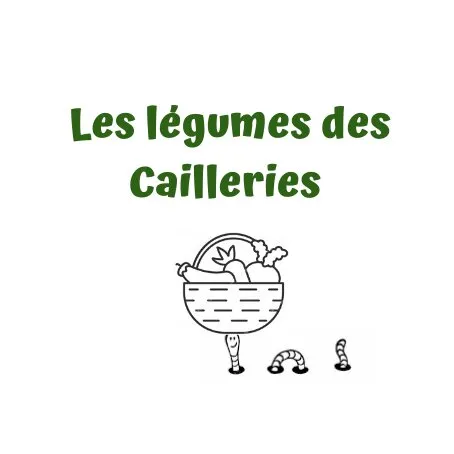 Image qui illustre: Les Légumes Des Cailleries à La Salvetat-Peyralès - 0