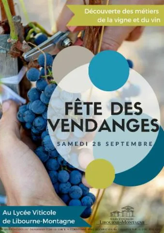 Image qui illustre: Fête des vendanges