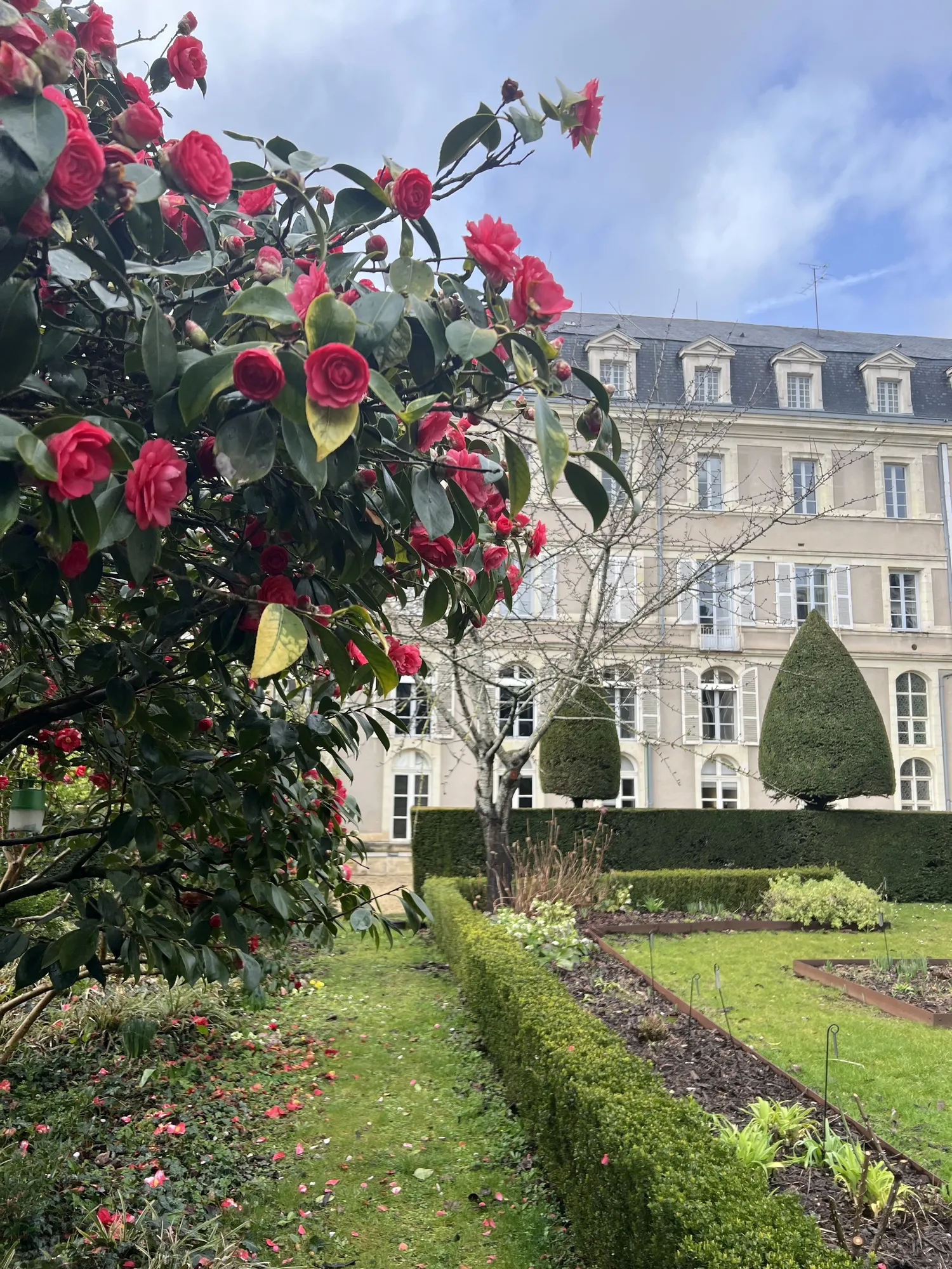 Image qui illustre: Visite commentée des jardins de l’hôtel du département et du toit terrasse à Angers - 0