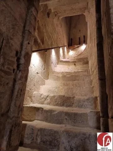 Image qui illustre: Visite guidée de la crypte à l'abbaye Saint-Amant