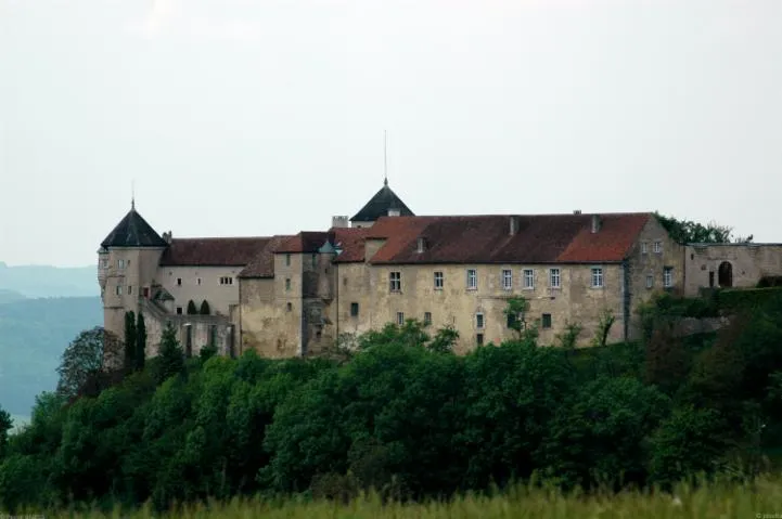 Image qui illustre: Château De Belvoir