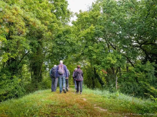 Image qui illustre: Vignes et patrimoine