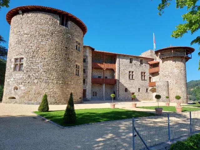 Image qui illustre: visite château la chèze