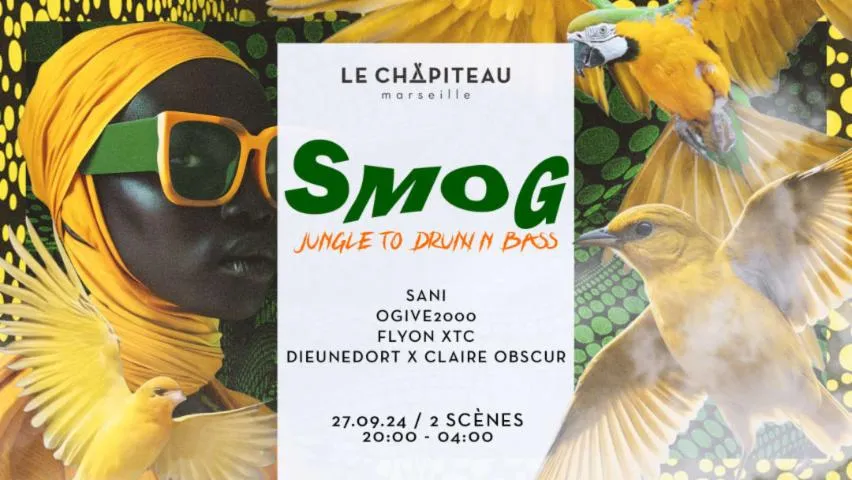 Image qui illustre: SMOG : SANI, Ogive2000, Flyon XTC Dieunedort & Claire Obscur