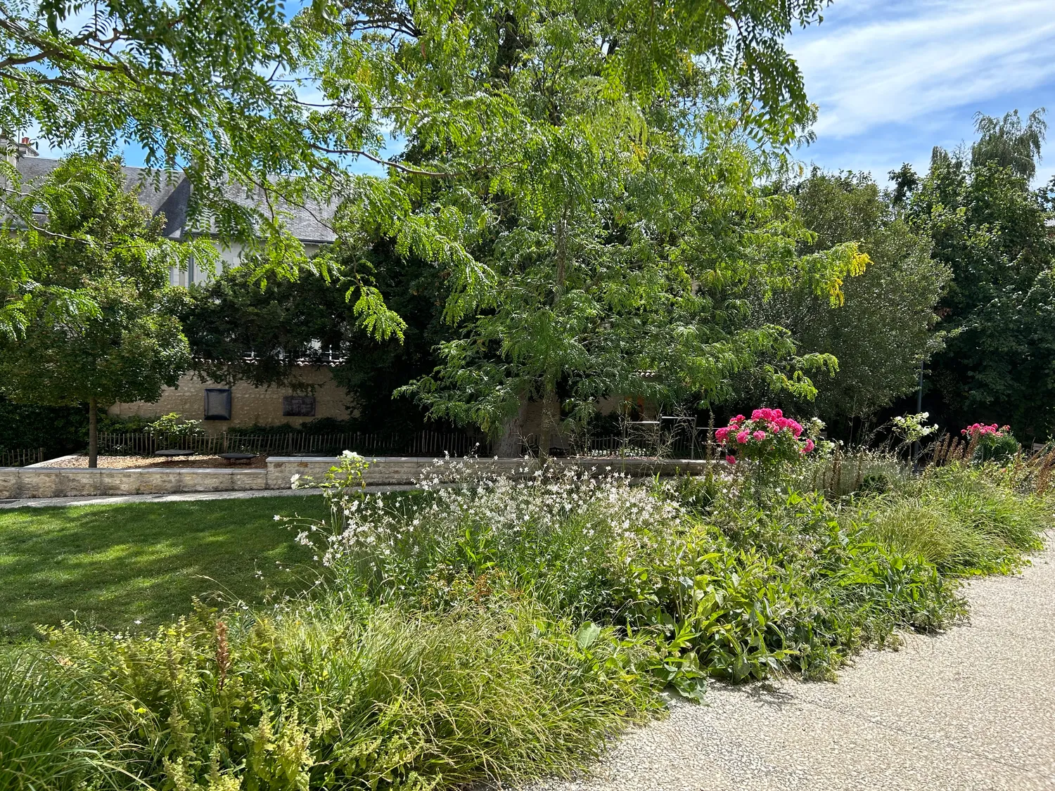 Image qui illustre: Jardin Simone Veil à Poitiers - 1