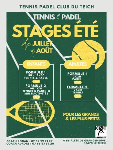 Image qui illustre: Stage d'été Tennis Padel