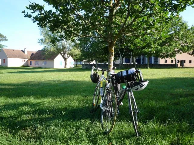 Image qui illustre: Location De Vélos À Bellebouche