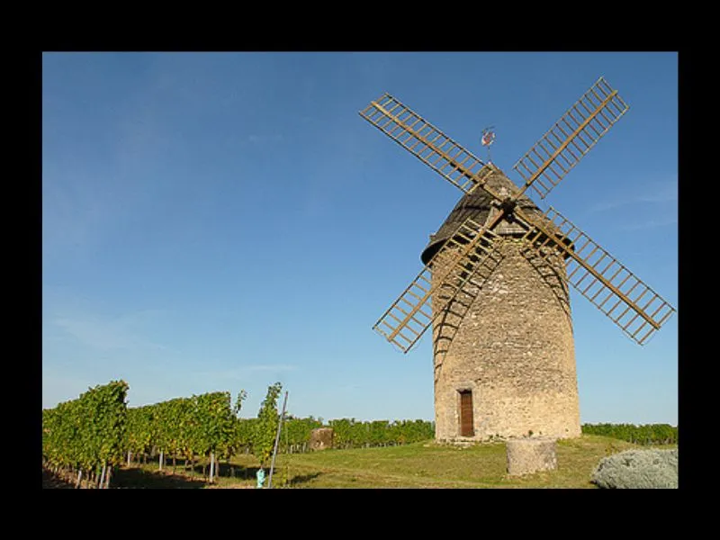 Image qui illustre: Moulin-musée Du Haut Benauge à Gornac - 0
