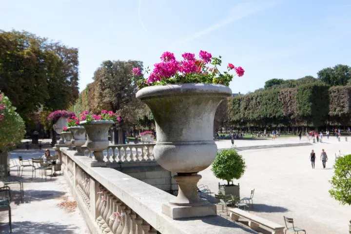 Image qui illustre: Visites guidées du Jardin du Luxembourg
