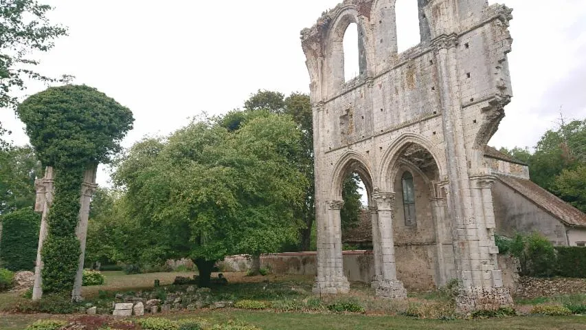Image qui illustre: Ruines De L'abbaye Cistercienne De Fontainejean