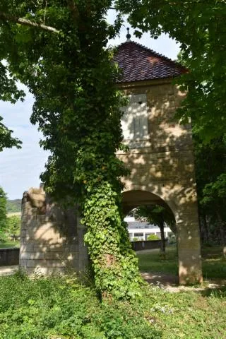Image qui illustre: Visite libre du parc du château de Brochon