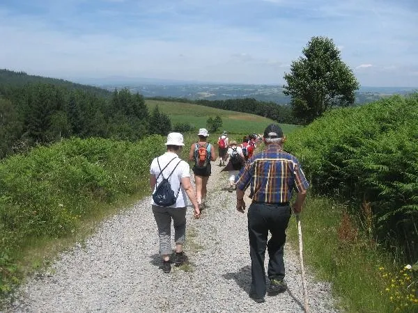 Image qui illustre: Randonnée Pédestre Accompagnée