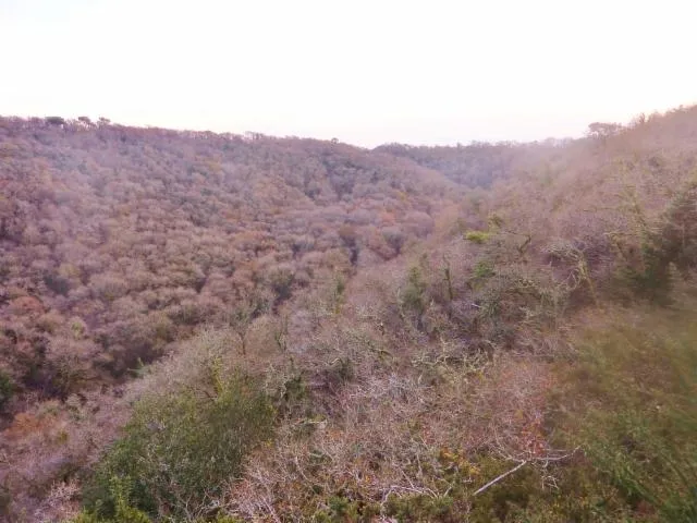 Image qui illustre: Les Gorges du Stangala