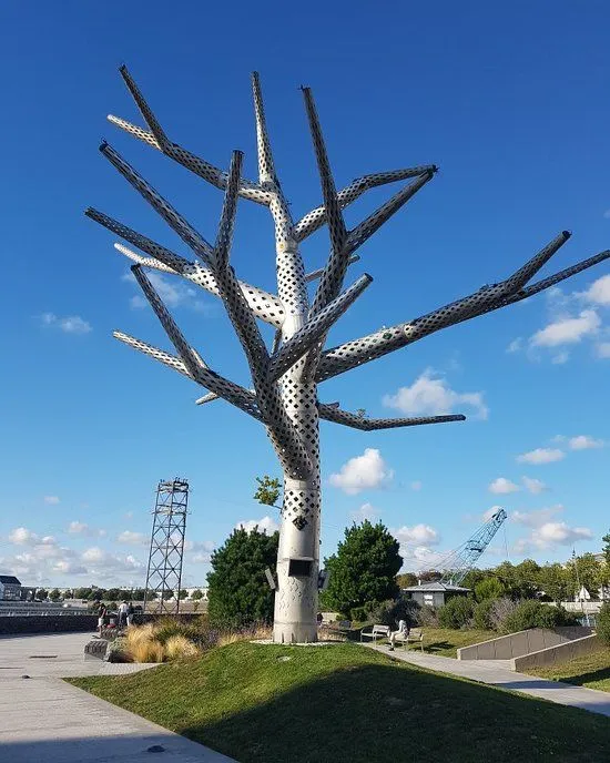 Image qui illustre: Arbre empathique à Brest - 0