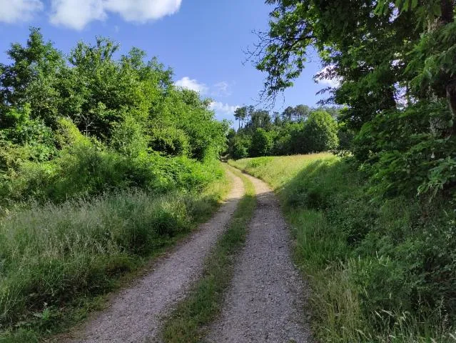 Image qui illustre: Paysage en évolution Saint Séverin d'Estissac