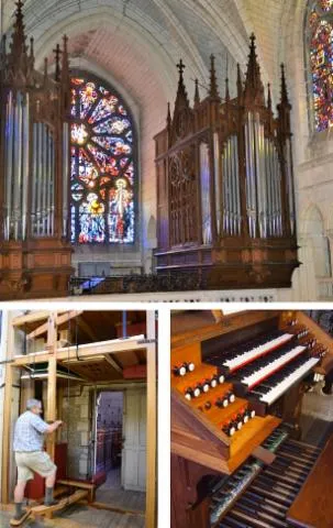 Image qui illustre: Démonstration : présentation du grand orgue Cavaillé-Coll, des vitraux et de la nouvelle banque de sons