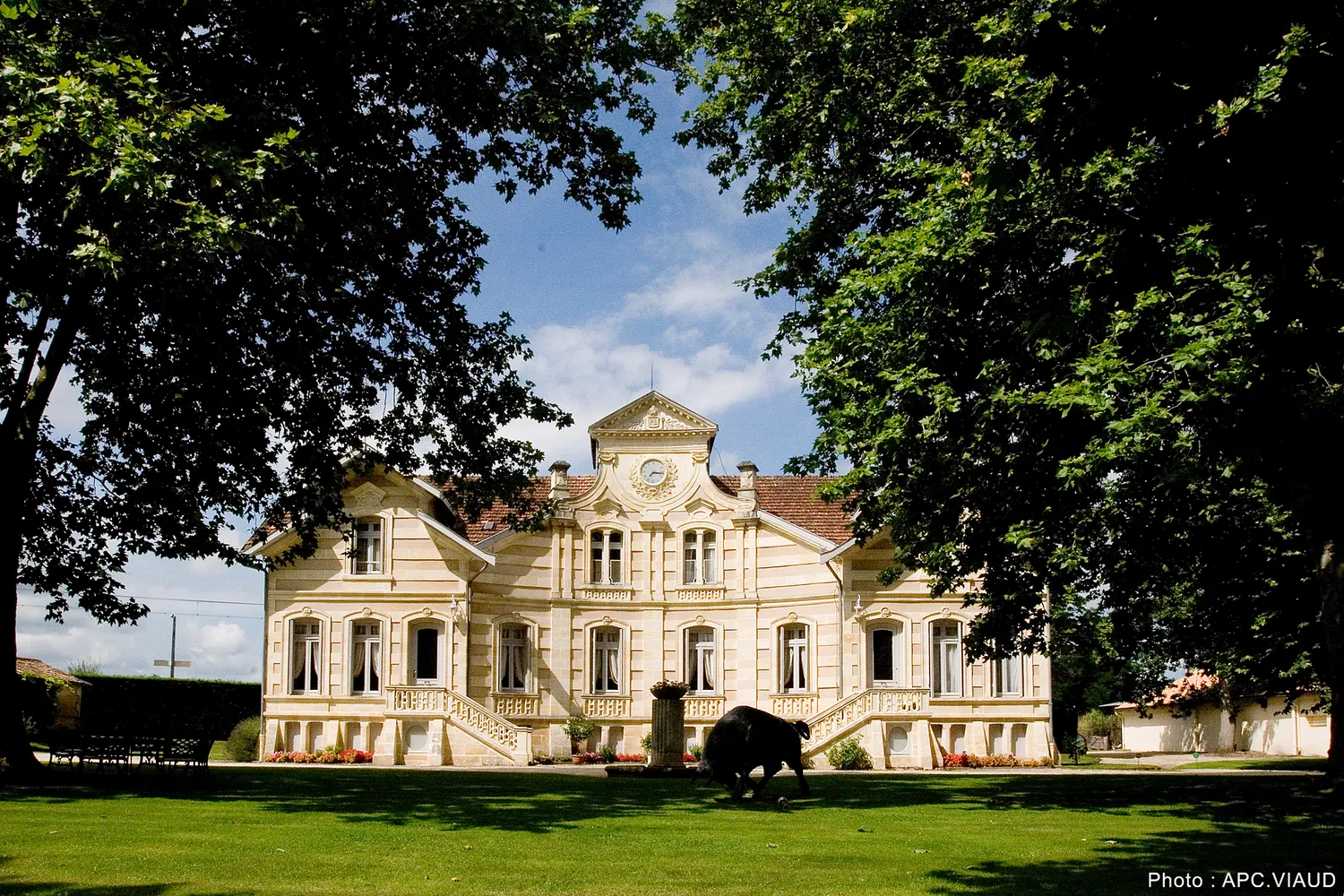 Image qui illustre: Château Maucaillou à Moulis-en-Médoc - 0