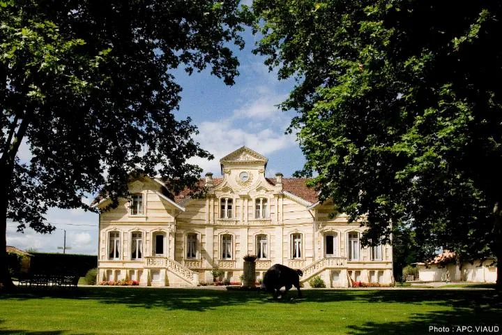 Image qui illustre: Château Maucaillou
