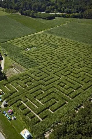 Image qui illustre: Labyrinthe de l'Ermite