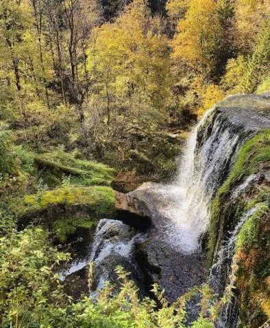 Image qui illustre: Source De L'ain Et Ses Cascades