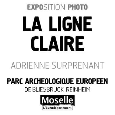 Image qui illustre: Exposition Photographique - La Ligne Claire / Die Helle Linie à Bliesbruck - 0