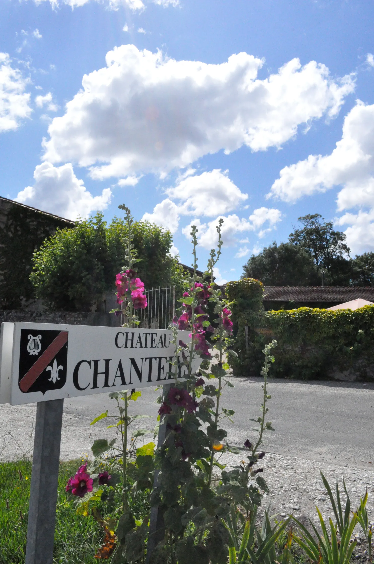 Image qui illustre: Château Chantelys à Blaignan-Prignac - 0