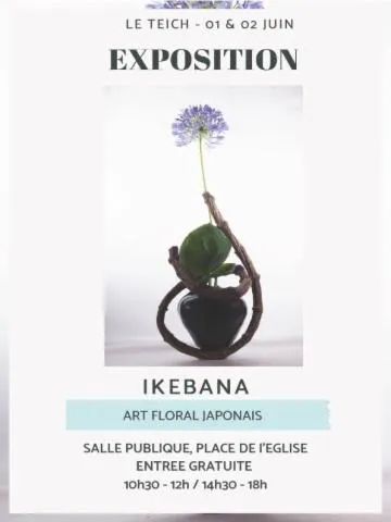 Image qui illustre: Exposition Ikebana