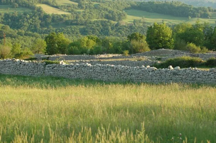 Image qui illustre: Randonnée Mouret - Entre Causse Et Rougier