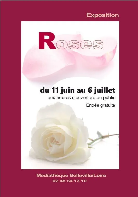 Image qui illustre: [une Année Aux Jardins] Exposition : Roses à Belleville-sur-Loire - 1