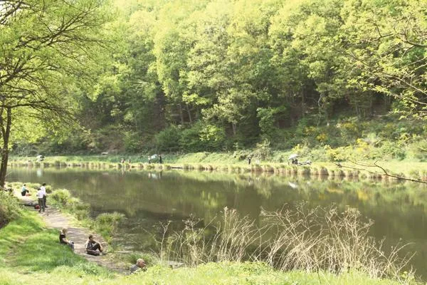 Image qui illustre: Étang Et Vallée Du Schafbach à Petite-Rosselle - 0