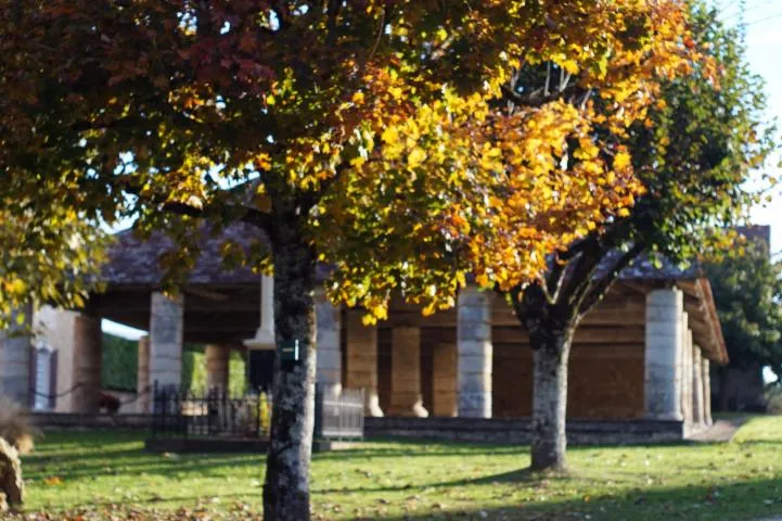 Image qui illustre: Sentier Des 7 Fontaines À Beauregard Et Bassac