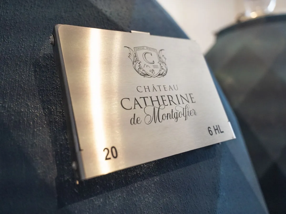 Image qui illustre: Les Récitals Du Château Catherine De Montgolfier - Voice Of Stone à Armissan - 0