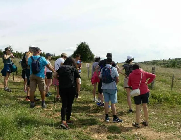 Image qui illustre: Exploration des clapas et dolines : randonnée immersive dans l'agropastoralisme du domaine de Boissets