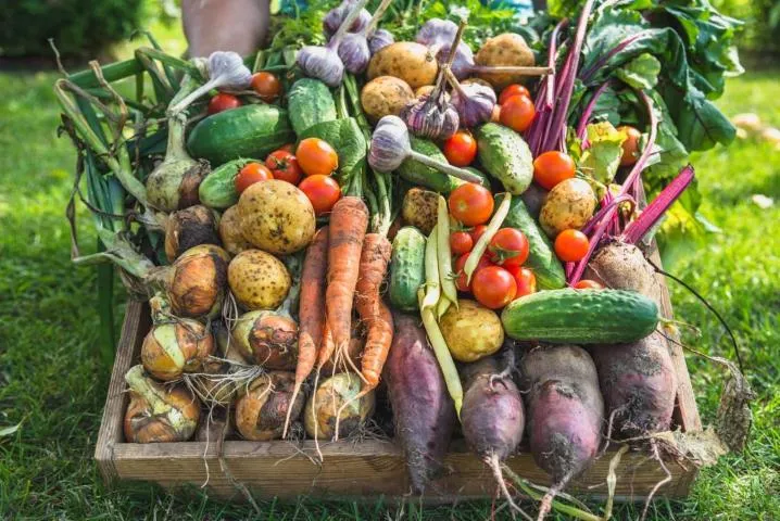 Image qui illustre: Marché à Buzancy