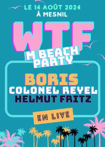 Image qui illustre: Wtf M Beach Party : Helmut Fritz, Colonel Reyel &amp; Boris
