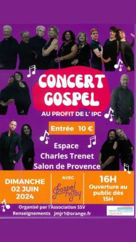 Image qui illustre: Concert : Gospel Au Profit De L'ipc