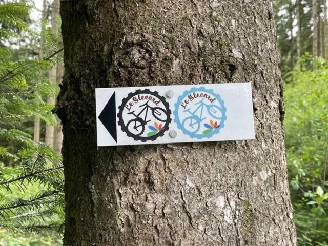 Image qui illustre: Circuit Vtt Saint-nabord - Le Slecard Bleu