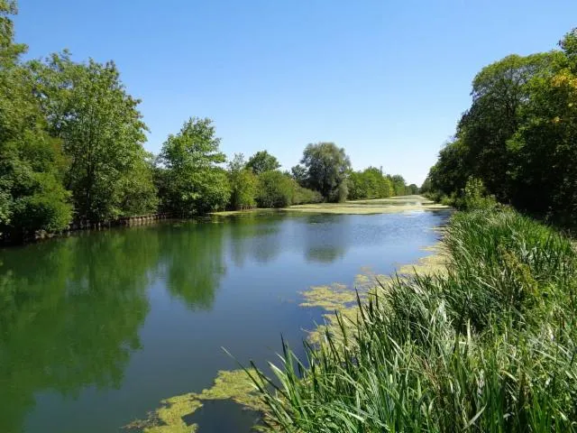 Image qui illustre: Sentier des Hautes rives