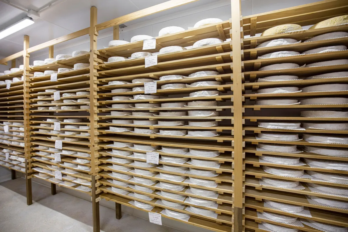 Image qui illustre: Dégustez une sélection de fromages à Jouarre - 2