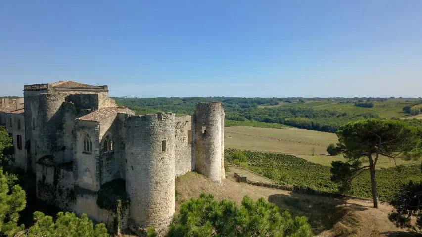 Image qui illustre: Visite d'un authentique château médiéval